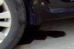汽車漏油隱患大 提前做好預防和及時